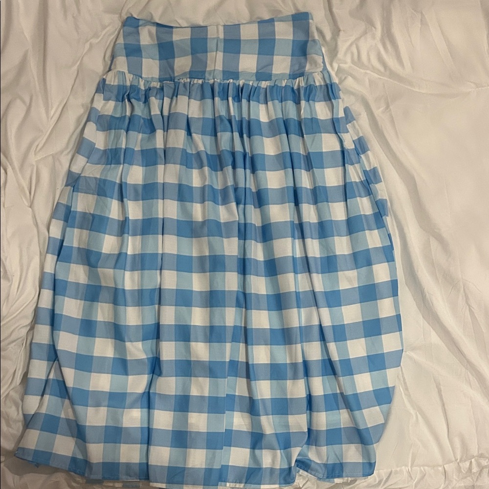Fancy D Blue and White Gingham Midi Skirt